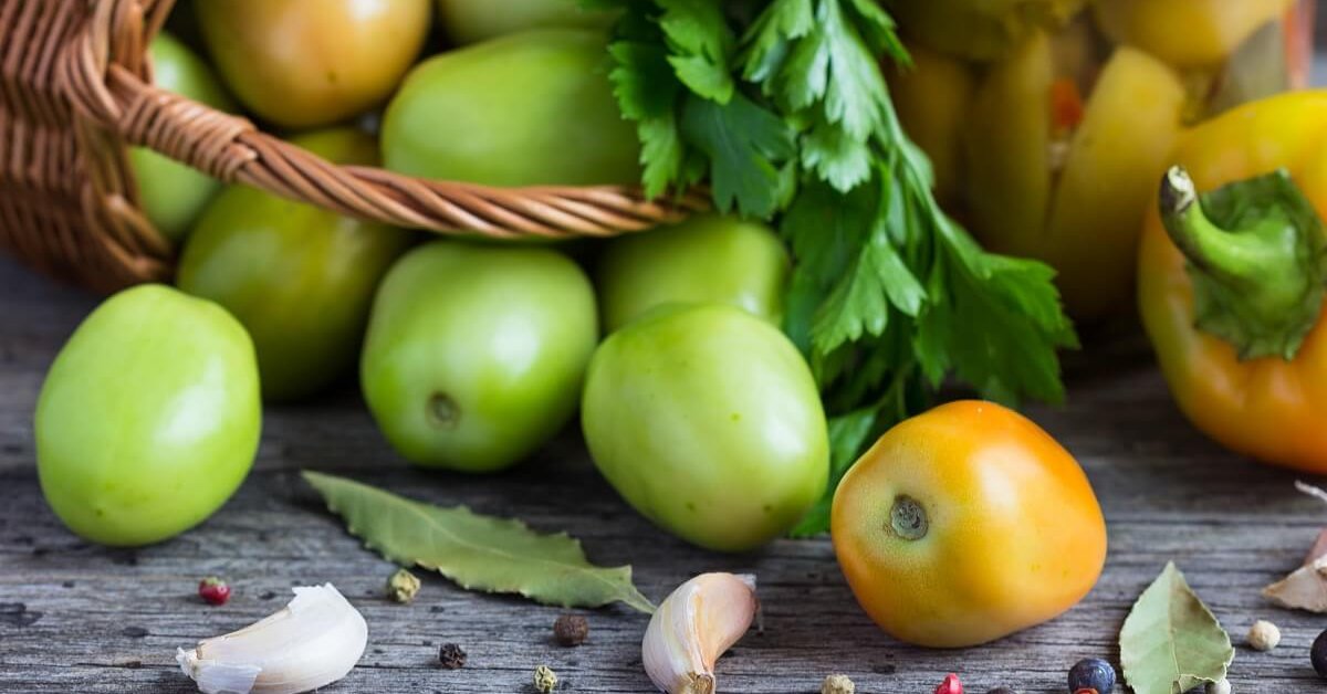 Блюда из зеленых помидоров – рецепты с фото (пошагово)